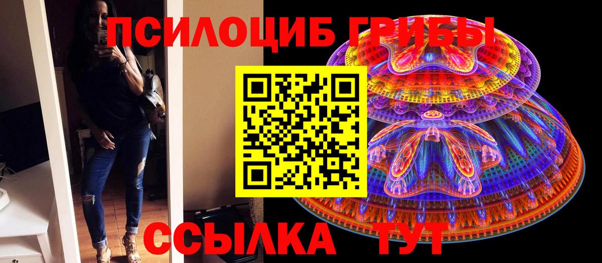 Галлюциногенные грибы GOLDEN TEACHER Северобайкальск